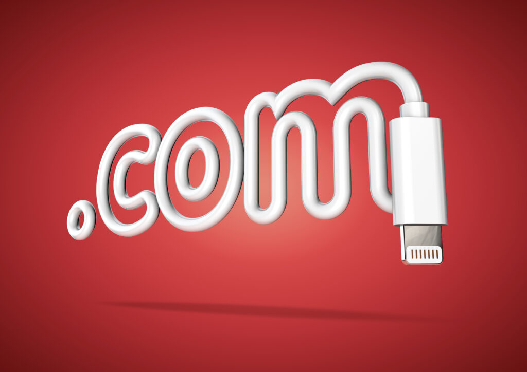 What is a Domain? Why It is Important for Your Business?